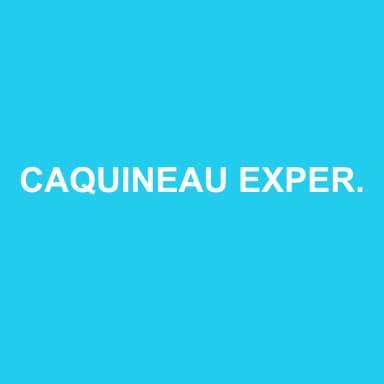 Logo de CAQUINEAU EXPERTISE