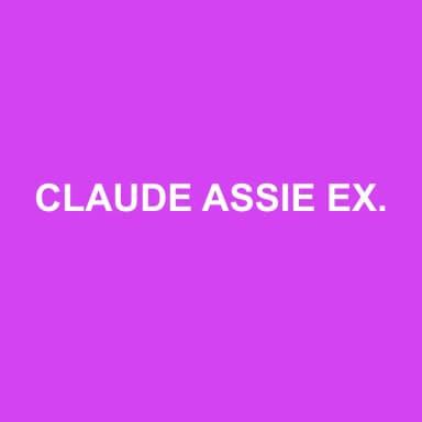 Logo de CLAUDE ASSIE EXPERTISE