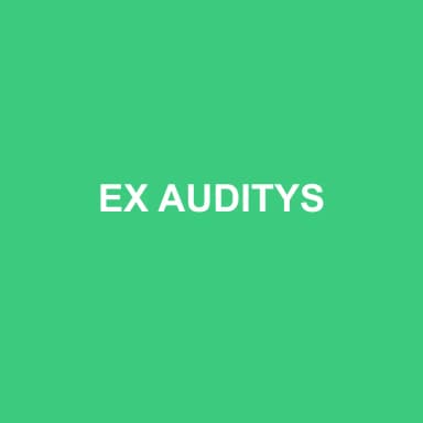 Logo de EX AUDITYS