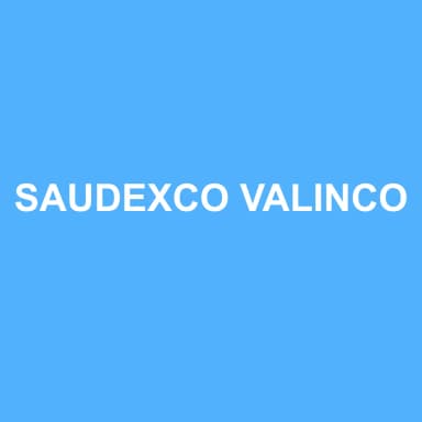 Logo de SAUDEXCO VALINCO