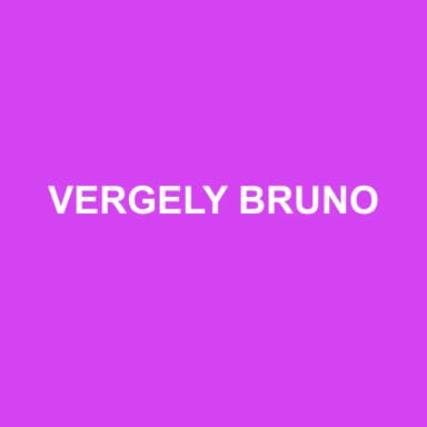 Logo de VERGELY BRUNO