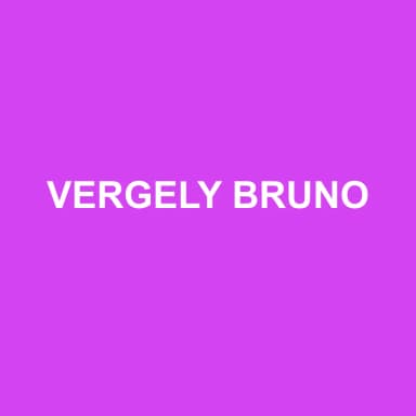 Logo de VERGELY BRUNO