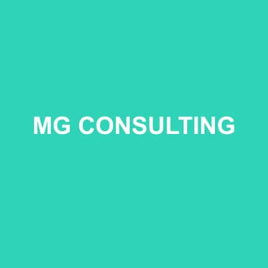 Logo de MG CONSULTING