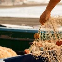 Comptabilite Gestion Ocean - photo 1