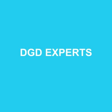 Logo de DGD EXPERTS