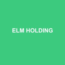 Logo Elm Holding - Expert-comptable à Montmort-Lucy