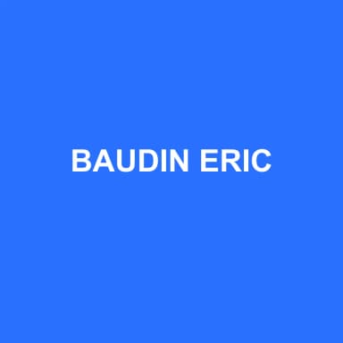 Logo de BAUDIN ERIC