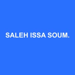 Logo de SALEH ISSA SOUMAINE