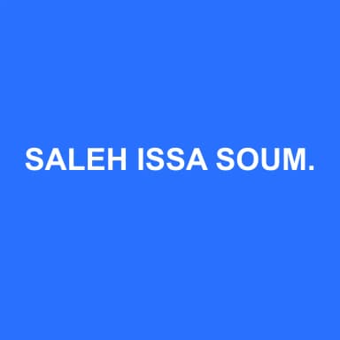 Logo de SALEH ISSA SOUMAINE