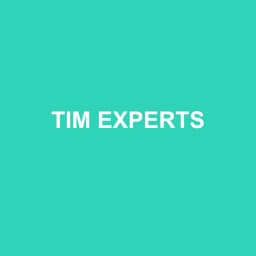 Logo de TIM EXPERTS