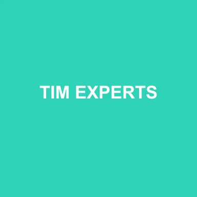 Logo de TIM EXPERTS