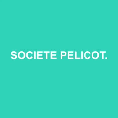 Logo de SOCIETE PELICOT AVEYRON EXPERTISE