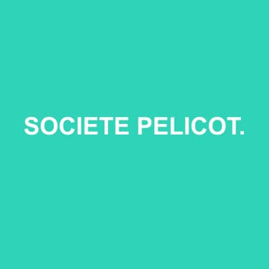 Logo de SOCIETE PELICOT AVEYRON EXPERTISE