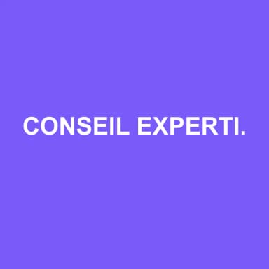 Logo de CONSEIL EXPERTISE MEREU