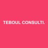 TEBOUL CONSULTING