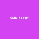 Logo SNR AUDIT