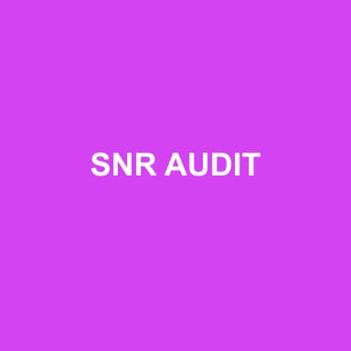 Logo de SNR AUDIT