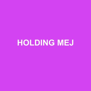 Logo de HOLDING MEJ