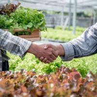 Comptabilite Gestion Ocean - photo 3