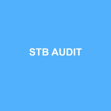 Logo de STB AUDIT