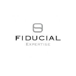 Logo Societe Fiduciaire Nationale D'expertise Comptable Fidexpertise - Expert-comptable à Lourdes