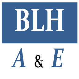 Logo de BLH AUDIT ET EXPERTISE