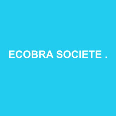 Logo de ECOBRA SOCIETE D'EXPERTISE COMPTABLE ET DE COMMISSARIAT AUX COMPTES