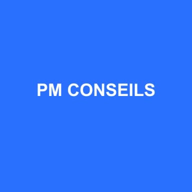 Logo de PM CONSEILS