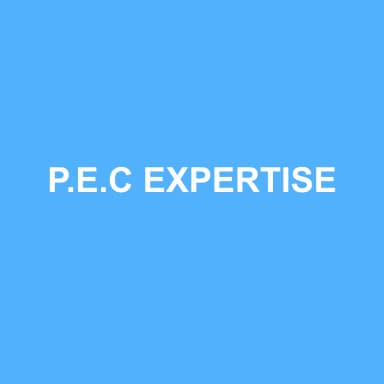 Logo de P.E.C EXPERTISE