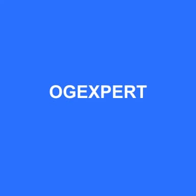 Logo de OGEXPERT