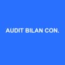 AUDIT BILAN CONSEIL D'EXPERT
