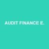 AUDIT FINANCE EXPERT
