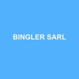 Logo de BINGLER SARL