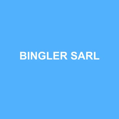 Logo de BINGLER SARL