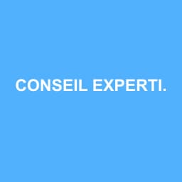 Logo de CONSEIL EXPERTISE DU SUD-EST
