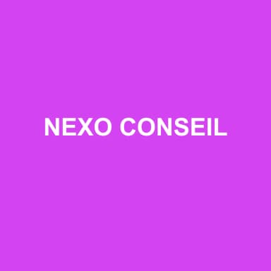 Logo de NEXO CONSEIL