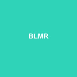 Logo Blmr - Expert-comptable à Coulounieix-Chamiers