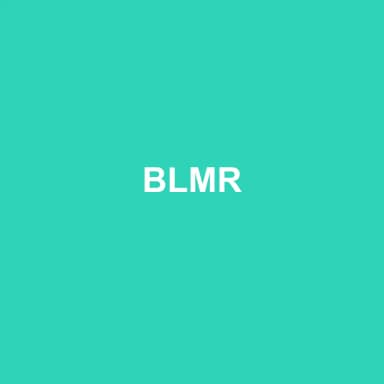 Logo de BLMR