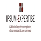 Logo de IPSUM-EXPERTISE