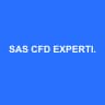 SAS CFD EXPERTISE