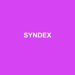 Logo Syndex - Expert-comptable à Avrillé