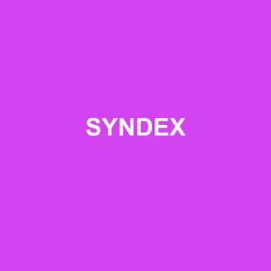 Logo de SYNDEX