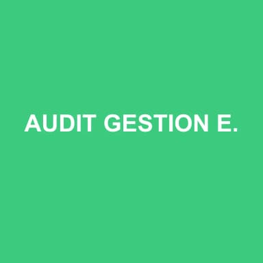 Logo de AUDIT GESTION EXPERTS