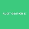 AUDIT GESTION EXPERTS
