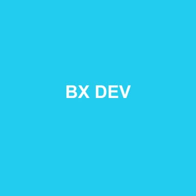 Logo de BX DEV