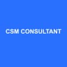 CSM CONSULTANT
