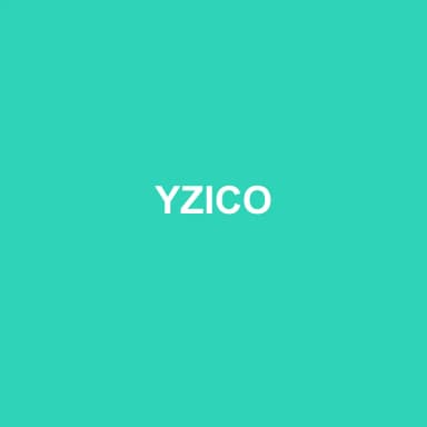 Logo de YZICO