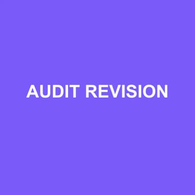 Logo de AUDIT REVISION