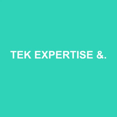 Logo de TEK EXPERTISE & CONSEILS