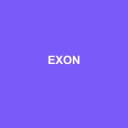 Logo de Exon